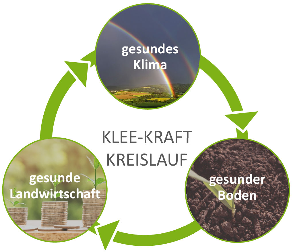 Klee-Kraft-Kreislauf