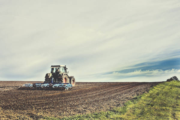 Traktor_am_Feld